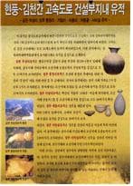 김천 부상리, 성주 봉정리, 가암리. 대흥리. 차동골. 시비실 유적